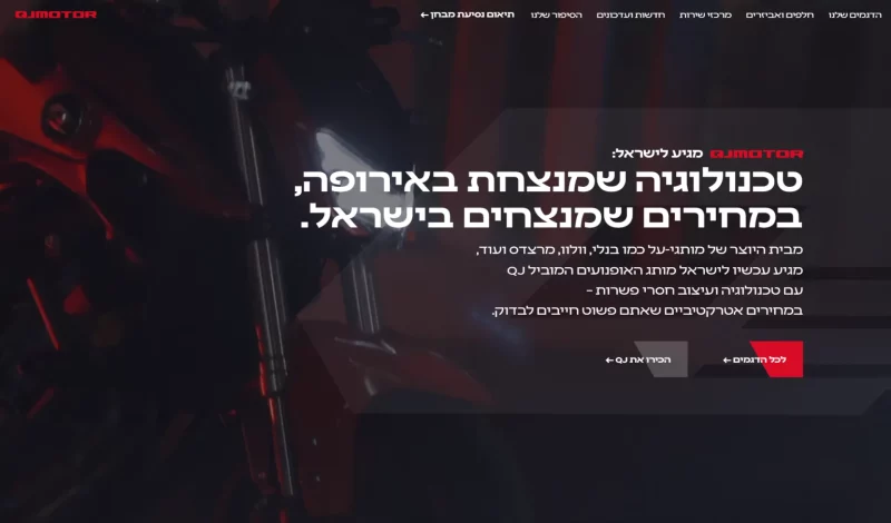 חיים בניסטי סטייליינר 3